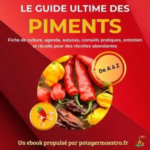 Guide complet de culture des piments : fiches techniques, conseils pratiques et astuces pour réussir ses semis, plantation et récolte