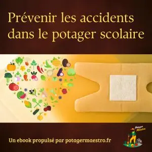 couverture ebook prévenir les accidents dans la potager scolaire