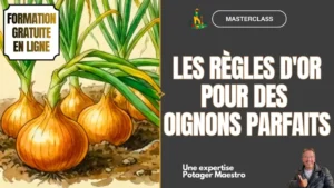 5 Miniature MASTERCLASS OIGNONS