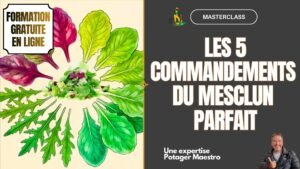 Formation gratuite en ligne Masterclass mesclun Potager Maestro