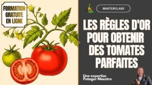 Formation gratuite en ligne Masterclass tomates Potager Maestro