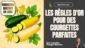 Formation gratuite en ligne Masterclass courgettes Potager Maestro