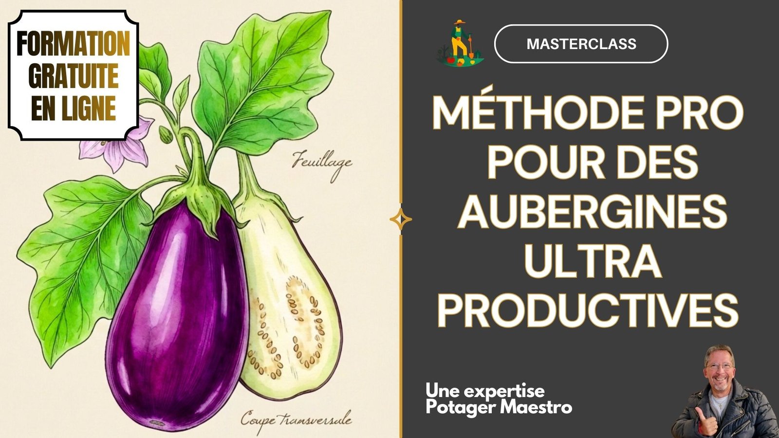 Formation gratuite en ligne Masterclass AUBERGINES Potager Maestro