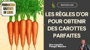 Formation gratuite en ligne Masterclass CAROTTES Potager Maestro