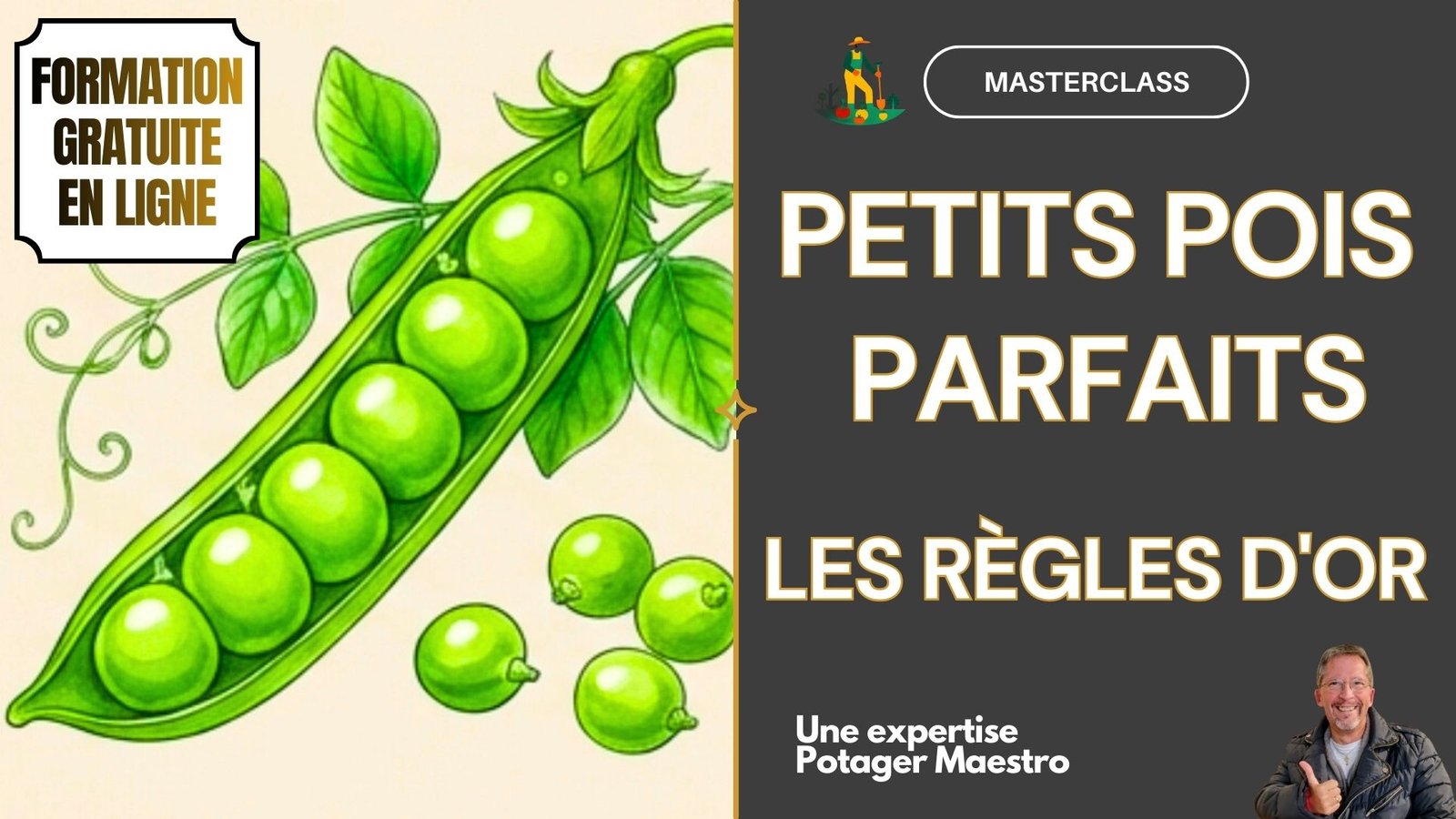 Formation gratuite en ligne Masterclass PETITS POIS Potager Maestro