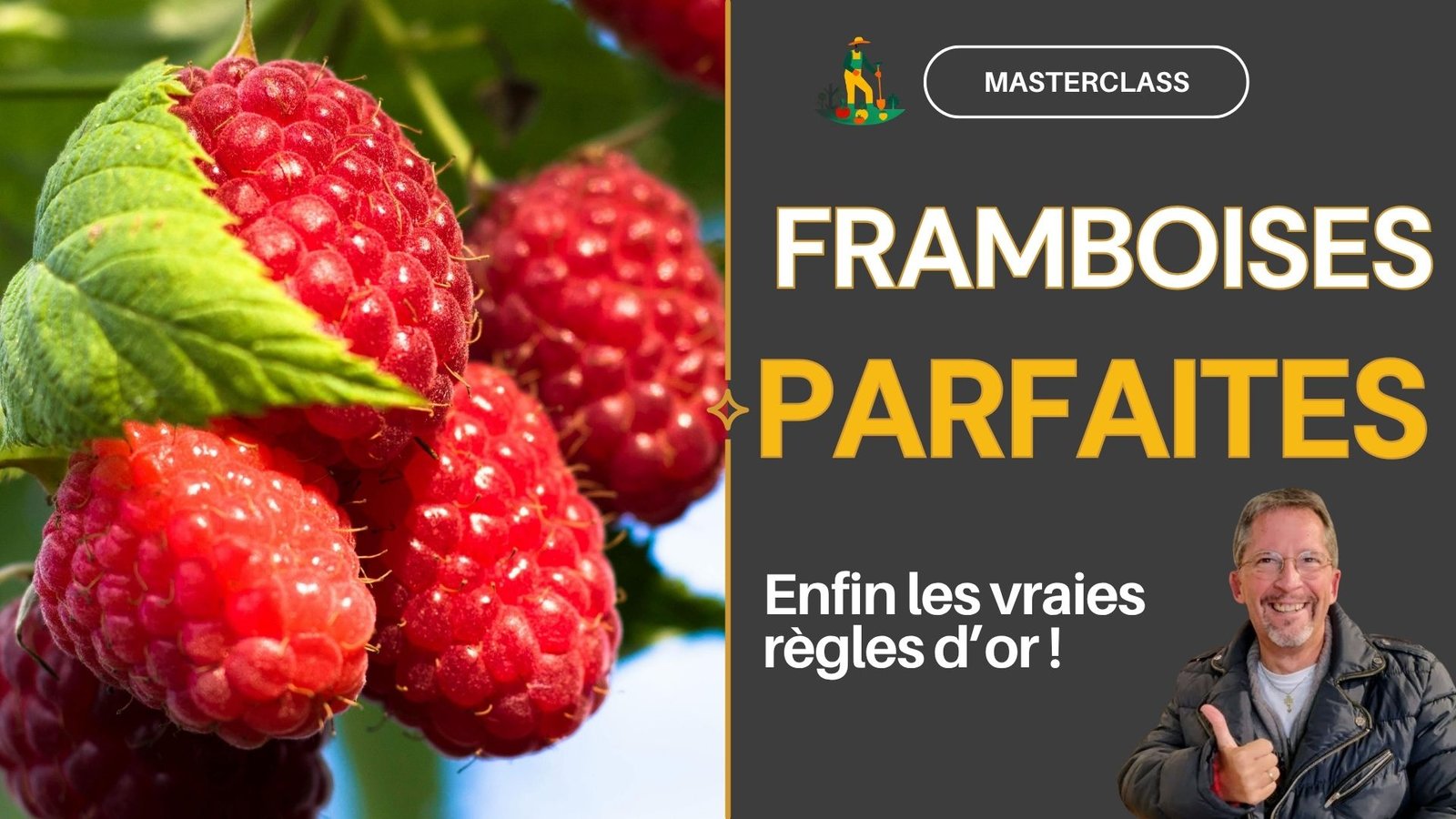Formation gratuite en ligne Masterclass sur les FRAMBOISES Potager Maestro