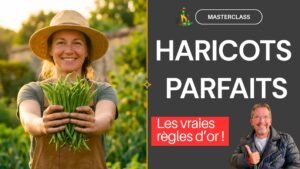 Formation gratuite en ligne Masterclass sur les HARICOTS Potager Maestro