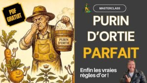 Formation gratuite en ligne Masterclass sur le PURIN ORTIE Potager Maestro
