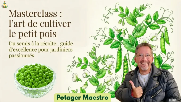L'art de cultiver le petit pois du semis à la récolte : Masterclass Potager Maestro