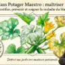 Oïdium : lutte et traitements pour les pro - Masterclass