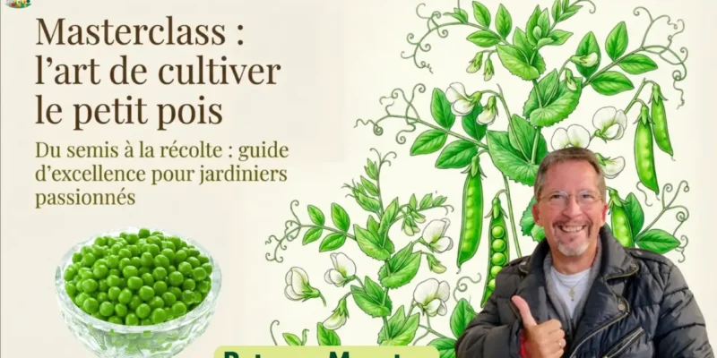 Petits pois pour les pro - Masterclass