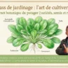 Mâche pour les pro - Masterclass