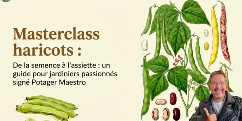 Haricots pour les pro - Masterclass