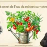 Eau du robinet et solutions pour les pro - Masterclass