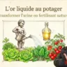 Urine au potager pour les pro - Masterclass