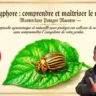 Doryphores : lutte et traitements pour les pro - Masterclass